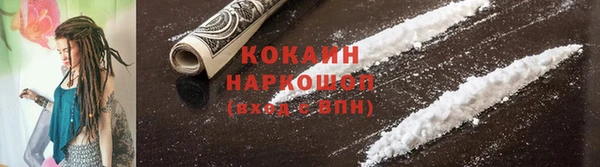 2c-b Пестово