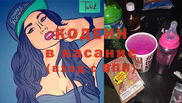 2c-b Пестово